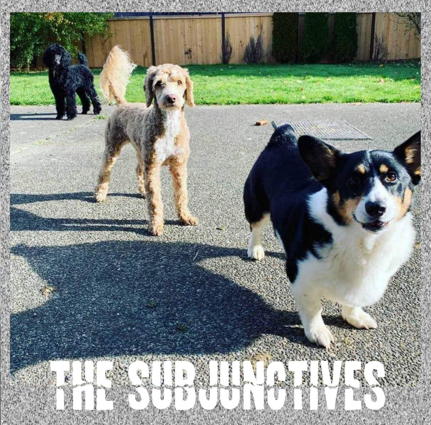 Subjunctives 8th Day Back Catalog Bundle